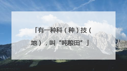 有一种科（种）技（地），叫“吨粮田”
