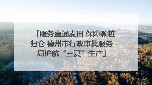 服务直通麦田 保障颗粒归仓 德州市行政审批服务局护航“三夏”生产