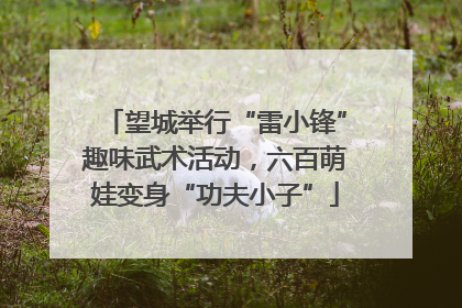 望城举行“雷小锋”趣味武术活动，六百萌娃变身“功夫小子”