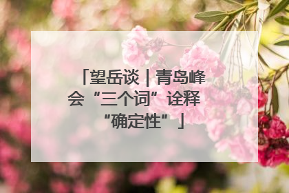 望岳谈｜青岛峰会“三个词”诠释“确定性”