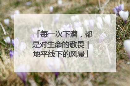 每一次下潜，都是对生命的敬畏｜地平线下的风景