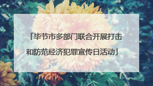 毕节市多部门联合开展打击和防范经济犯罪宣传日活动