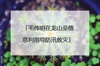 毛伟明在龙山桑植慈利指导防汛救灾