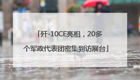 歼-10CE亮相，20多个军政代表团密集到访展台