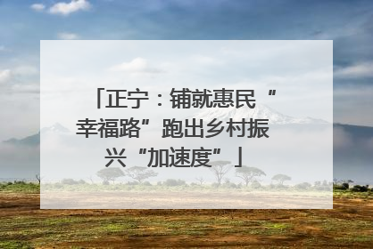 正宁：铺就惠民“幸福路”跑出乡村振兴“加速度”