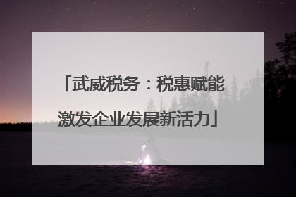 武威税务：税惠赋能 激发企业发展新活力