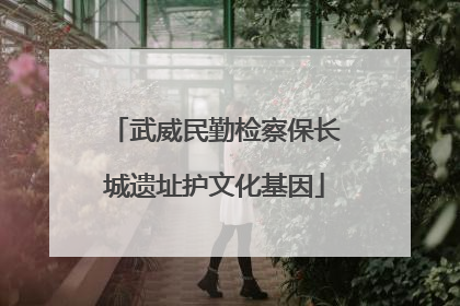 武威民勤检察保长城遗址护文化基因