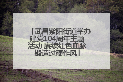 武昌紫阳街道举办建党104周年主题活动 赓续红色血脉锻造过硬作风