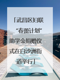武昌区妇联“春蕾计划”助学金捐赠仪式在白沙洲街道举行