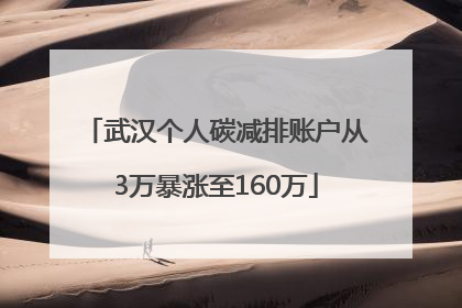 武汉个人碳减排账户从3万暴涨至160万