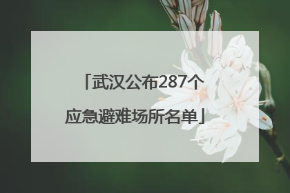 武汉公布287个应急避难场所名单