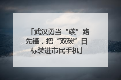 武汉勇当“碳”路先锋，把“双碳”目标装进市民手机