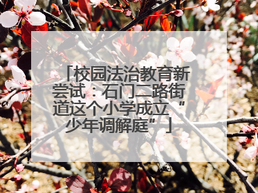 校园法治教育新尝试：石门二路街道这个小学成立“少年调解庭”