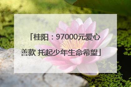 桂阳：97000元爱心善款 托起少年生命希望