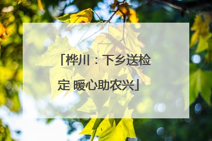 桦川：下乡送检定 暖心助农兴