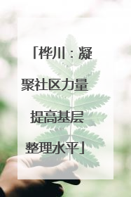 桦川：凝聚社区力量 提高基层整理水平