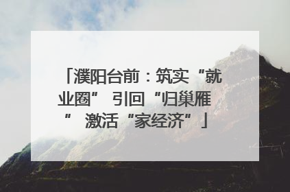 濮阳台前：筑实“就业圈” 引回“归巢雁” 激活“家经济”