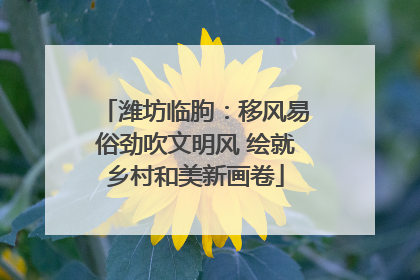 潍坊临朐：移风易俗劲吹文明风 绘就乡村和美新画卷