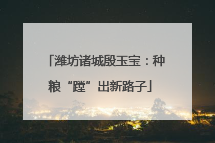 潍坊诸城殷玉宝：种粮“蹚”出新路子