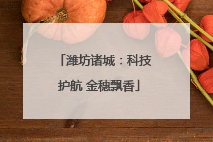 潍坊诸城：科技护航 金穗飘香