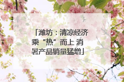 潍坊：清凉经济乘“热”而上 消暑产品销量猛增