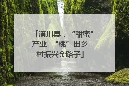 潢川县：“甜蜜”产业  “桃”出乡村振兴金路子