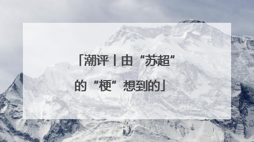 潮评丨由“苏超”的“梗”想到的