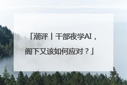 潮评丨干部夜学AI，阁下又该如何应对？