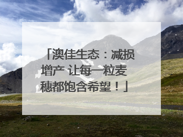 澳佳生态：减损增产 让每一粒麦穗都饱含希望！