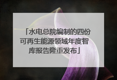 水电总院编制的四份可再生能源领域年度智库报告隆重发布