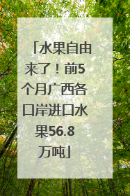 水果自由来了！前5个月广西各口岸进口水果56.8万吨
