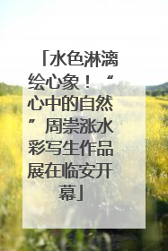 水色淋漓绘心象！“心中的自然”周崇涨水彩写生作品展在临安开幕