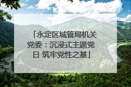 永定区城管局机关党委：沉浸式主题党日 筑牢党性之基
