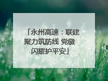 永州高速：联建聚力筑防线 党徽闪耀护平安