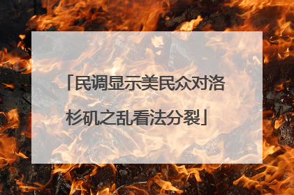 民调显示美民众对洛杉矶之乱看法分裂