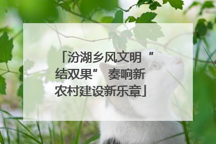 汾湖乡风文明“结双果” 奏响新农村建设新乐章