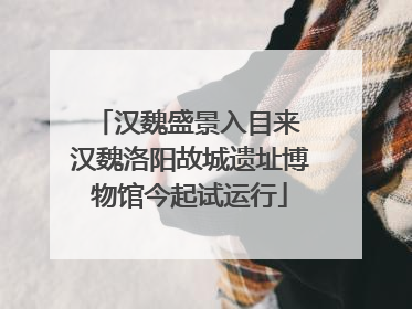 汉魏盛景入目来 汉魏洛阳故城遗址博物馆今起试运行