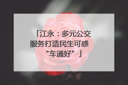 江永：多元公交服务打造民生可感“车通好”