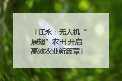 江永：无人机“展翅”农田 开启高效农业新篇章