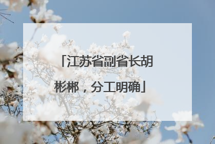 江苏省副省长胡彬郴，分工明确