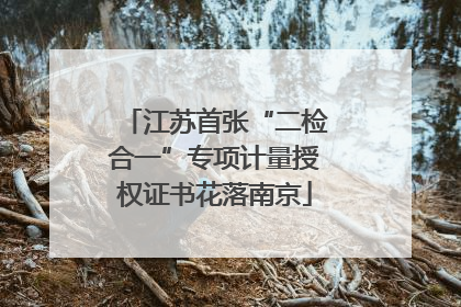 江苏首张“二检合一”专项计量授权证书花落南京