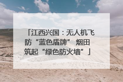 江西兴国：无人机飞防“蓝色盾牌” 烟田筑起“绿色防火墙”