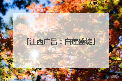 江西广昌：白莲盛绽