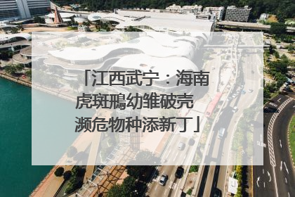 江西武宁：海南虎斑鳽幼雏破壳 濒危物种添新丁