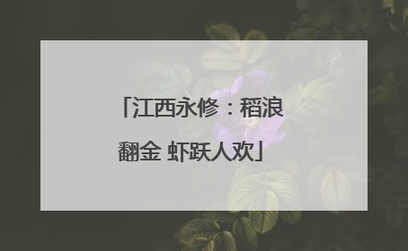 江西永修：稻浪翻金 虾跃人欢
