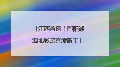 江西首例！鄱阳湖湿地彩鹮喜添新丁