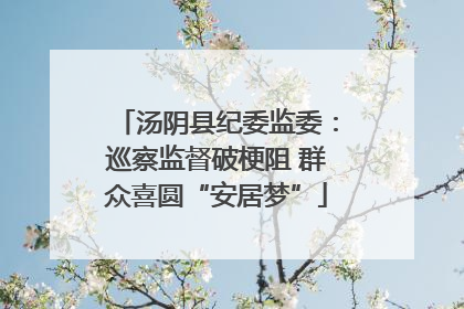 汤阴县纪委监委：巡察监督破梗阻 群众喜圆“安居梦”
