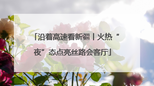 沿着高速看新疆丨火热“夜”态点亮丝路会客厅