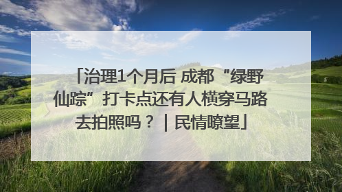治理1个月后 成都“绿野仙踪”打卡点还有人横穿马路去拍照吗？｜民情瞭望
