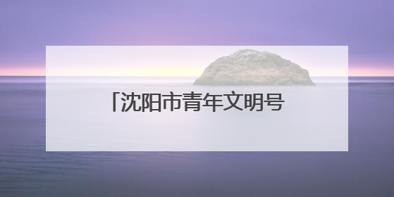 沈阳市青年文明号开放日活动举办